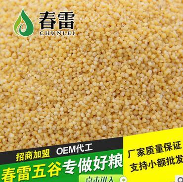 劃算的熟小米供應，盡在東旭糧油調味品——品質與價值的完美平衡